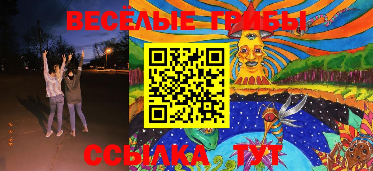 Галлюциногенные грибы ЛСД  Вход с VPN  Тосно 
